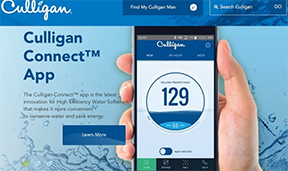 Responsive image